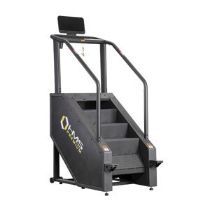Fitness schody HMS Premium ST01