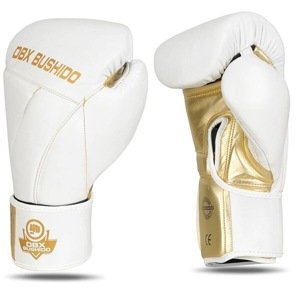 B-2v19 12 OZ BOXOVACIE RUKAVICE DBX BUSHIDO 12oz