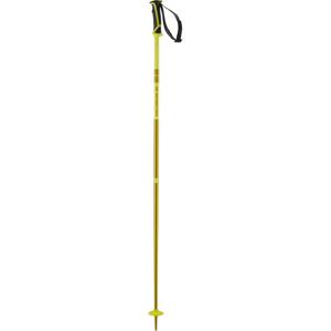 Salomon Lyžiarske palice  Arctic Alpine Poles Veľkosť: 115 cm
