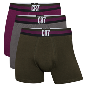 Cr7 Pánska spodná bielizeň CR7 Boxer Basic Trunk 3 Pack Veľkosť: L