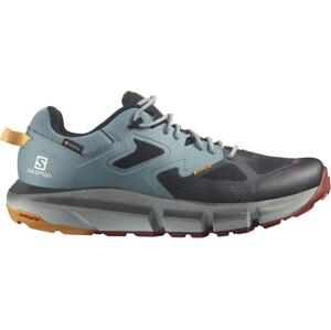 Salomon  Predict Hike GTX M Veľkosť: 46 EUR