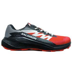 Salomon  Alphaglide GTX M Veľkosť: 42 2/3 EUR