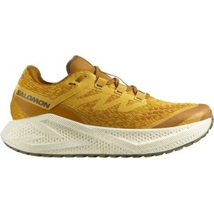 Salomon  Aero Glide 3 GRVL M Veľkosť: 44 EUR