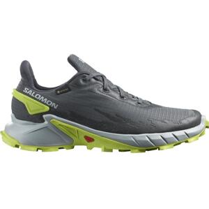 Salomon  Alphacross 4 GTX M Veľkosť: 47 1/3 EUR