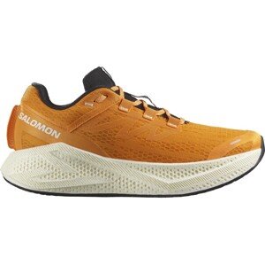 Salomon  Aero Glide 3 M Veľkosť: 45 1/3 EUR