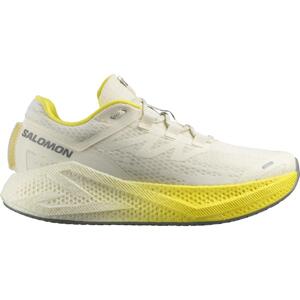 Salomon  Aero Glide 3 M Veľkosť: 45 1/3 EUR