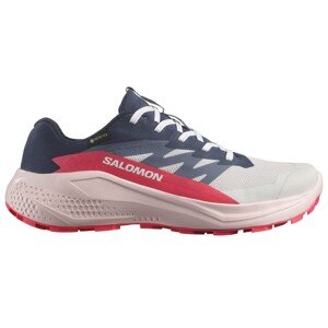 Salomon  Alphaglide GTX W Veľkosť: 38 EUR