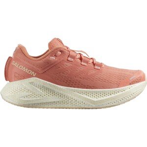 Salomon  Aero Glide 3 W Veľkosť: 39 1/3 EUR