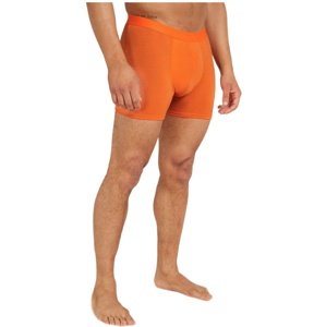 Atomic  Merino 150 Anatomica Boxers Veľkosť: S